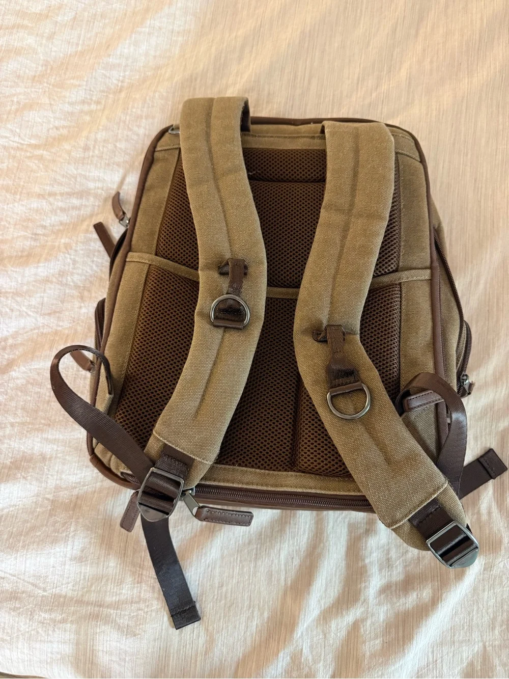 Canvas & Leather Men's Backpack in Brown by Fossil